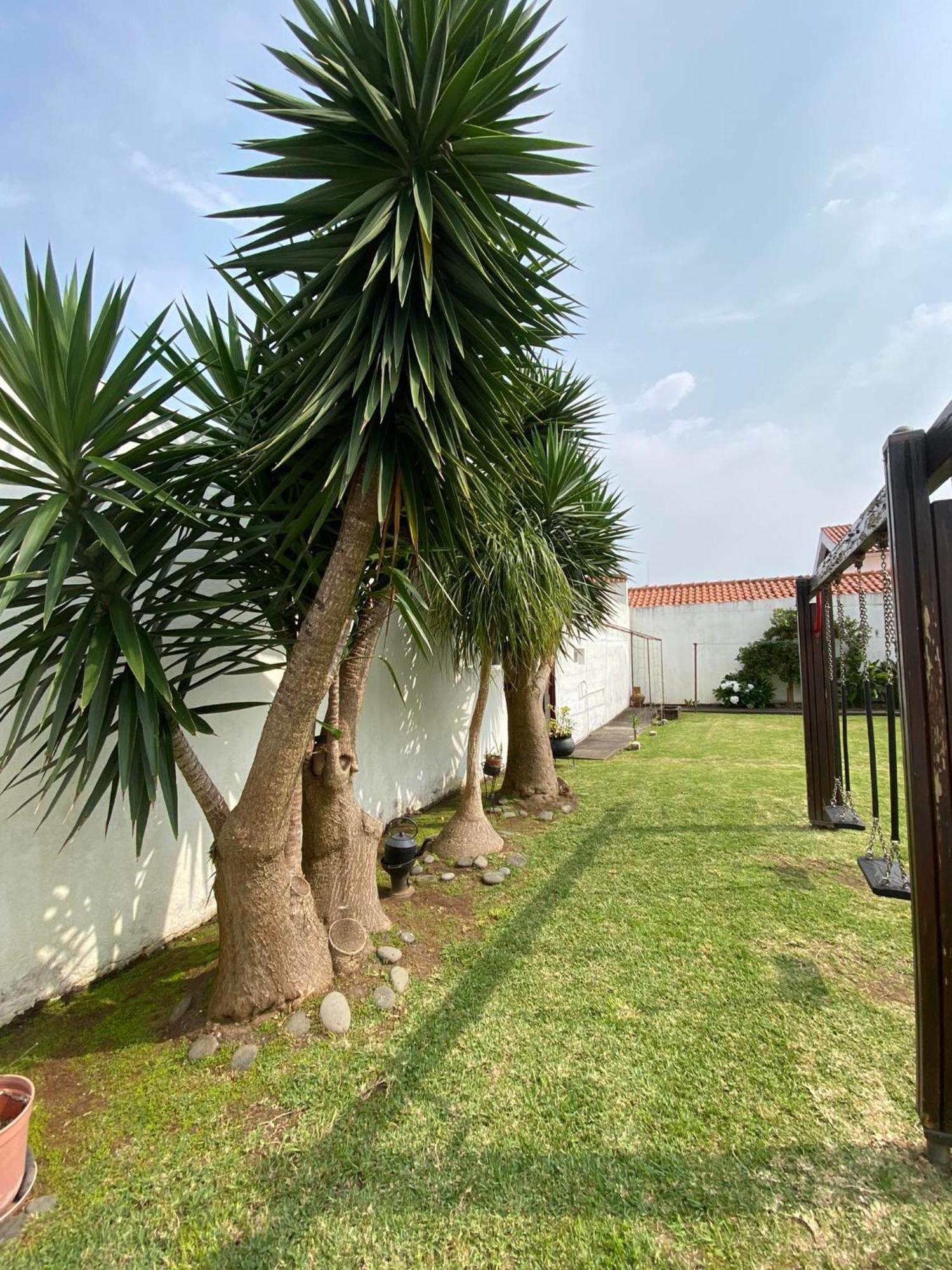 أورتا Apartamentos Sao Joao المظهر الخارجي الصورة