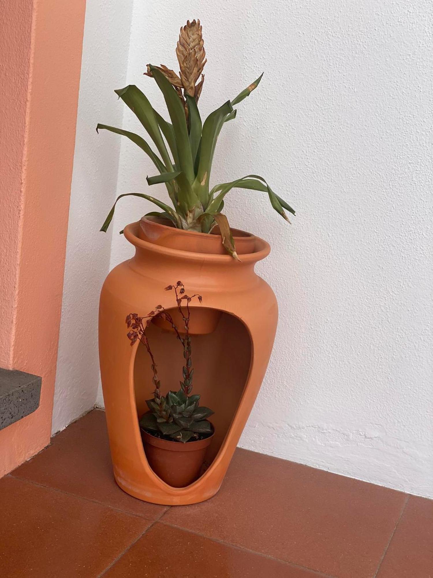 أورتا Apartamentos Sao Joao المظهر الخارجي الصورة